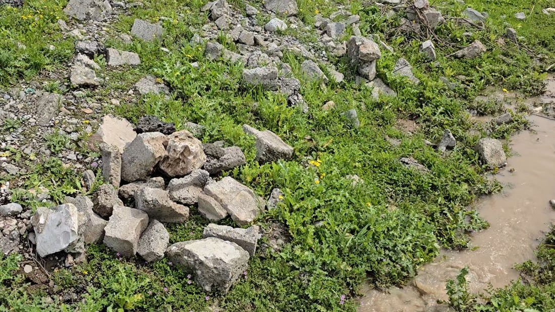 رەشەمێرگ؛ کانییە دێرینەکەی رانیە دوای ساڵانێک ژیاوەتەوە بەڵام بێ نازە
