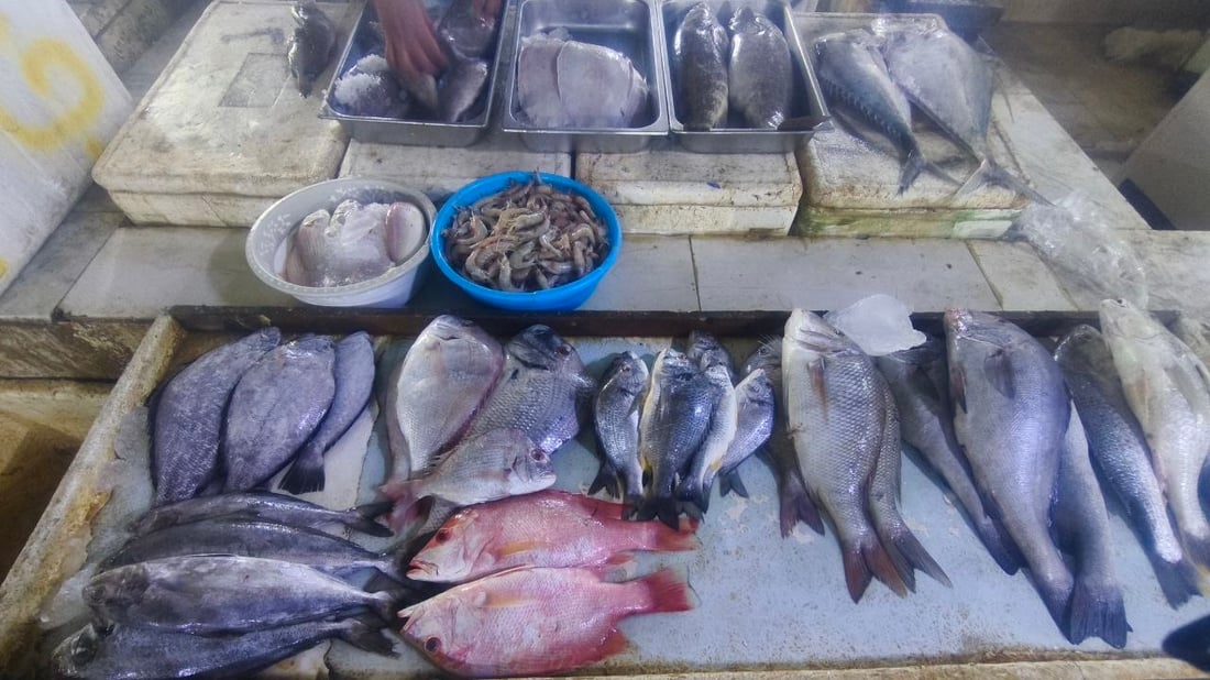 صور: وفرة في أسماك الفاو.. لكن الصبور قليل وسعره وصل لـ400 ألف للسلة