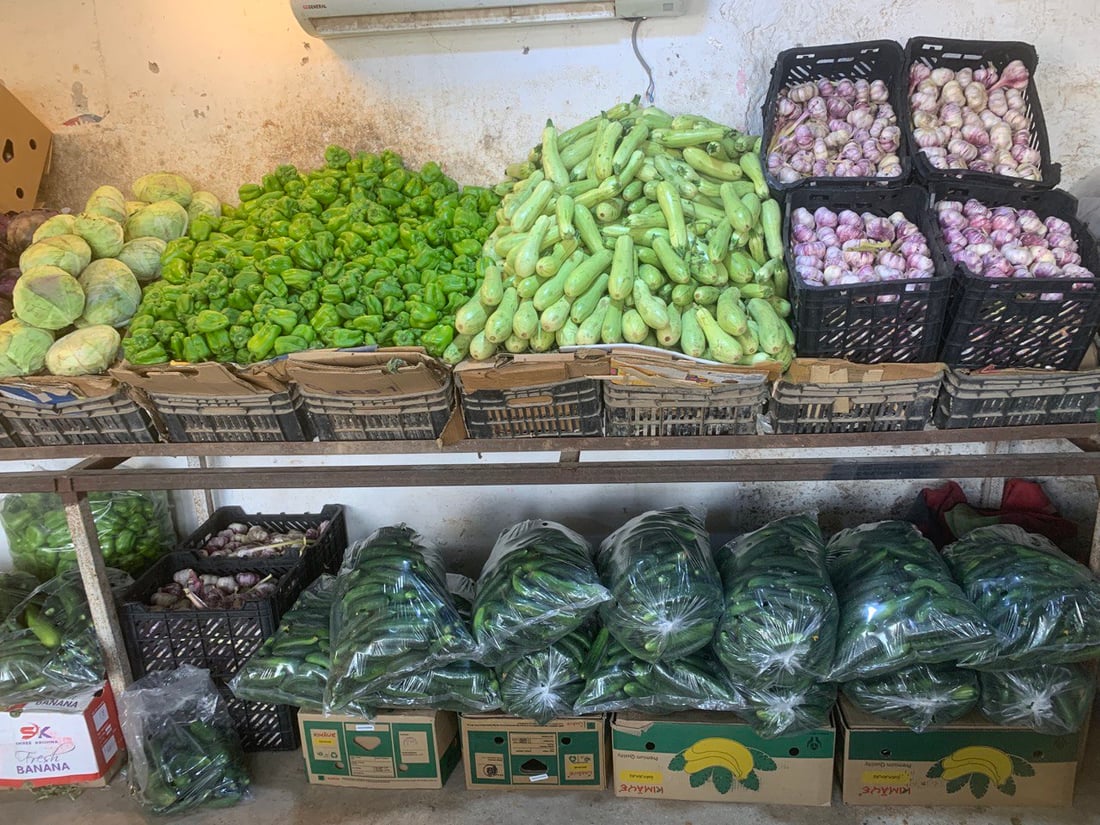 بغداد تنتظر خيرات ربيعة.. البامية إلى 3 آلاف لكنها ستتأخر قليلاً هذا العام (صور)