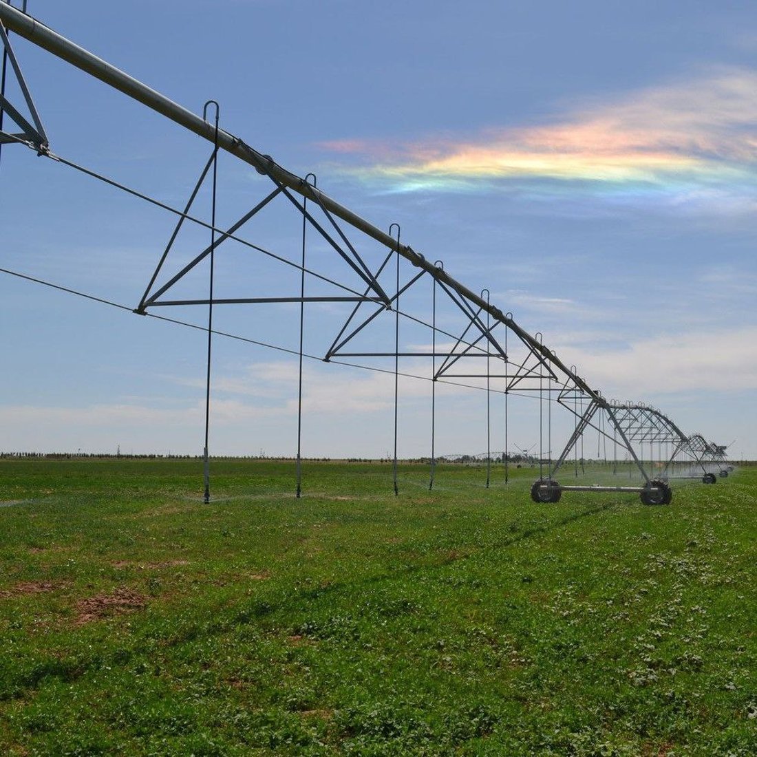 مزارعو صلاح الدين بانتظار السماد: منع الاستيراد مهم للصناعة.. لكن ماذا عنّا؟