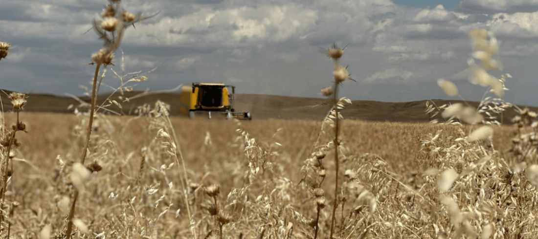 بەشێک لە زەوییە داگیرکراوەکانی کەرکوک دەگەڕێندرێتەوە بۆ خاوەنەکانیان