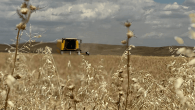 بەشێک لە زەوییە داگیرکراوەکانی کەرکوک دەگەڕێندرێتەوە بۆ خاوەنەکانیان