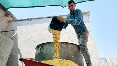 مطحنة زيّا تشرح تهبيش السليقة وتفاخر بنكهة البرغل والجريش.. طن الحنطة يأخذ يومين