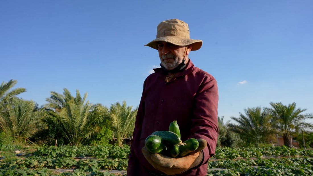 Climate-smart farming project in Rawa pushes vegetable production up