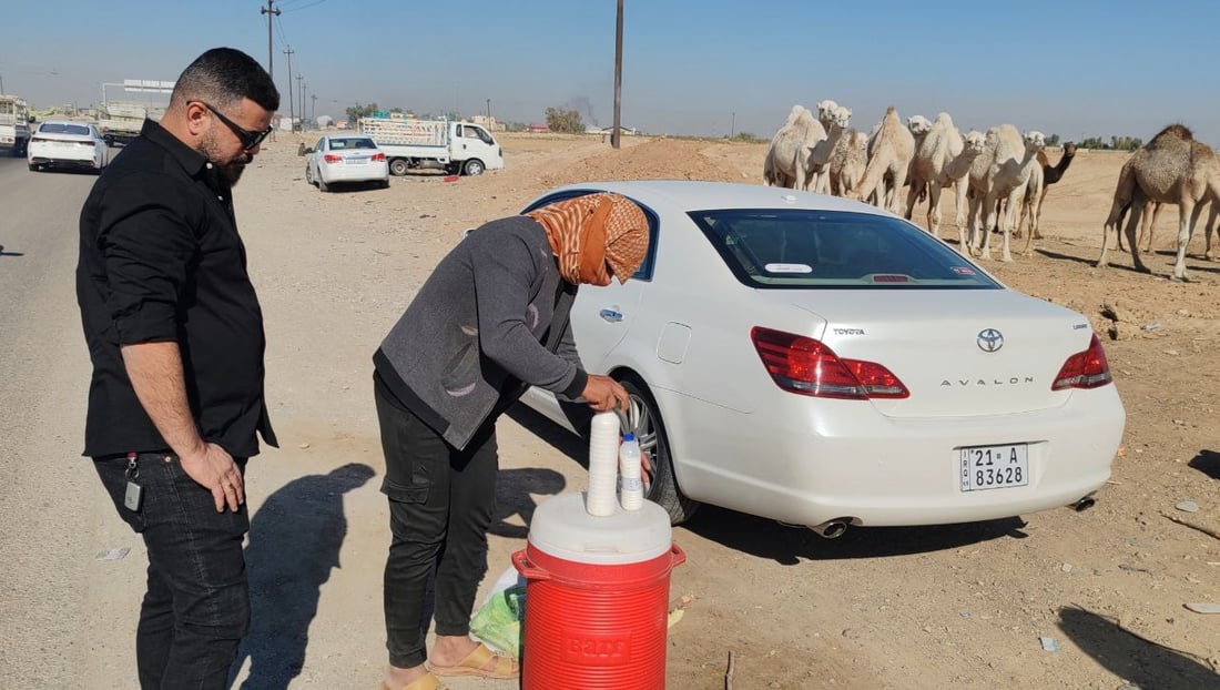 فيديو: البعران البيضاء الجميلة سرقت الأضواء في كركوك “وألبانها شفاء”