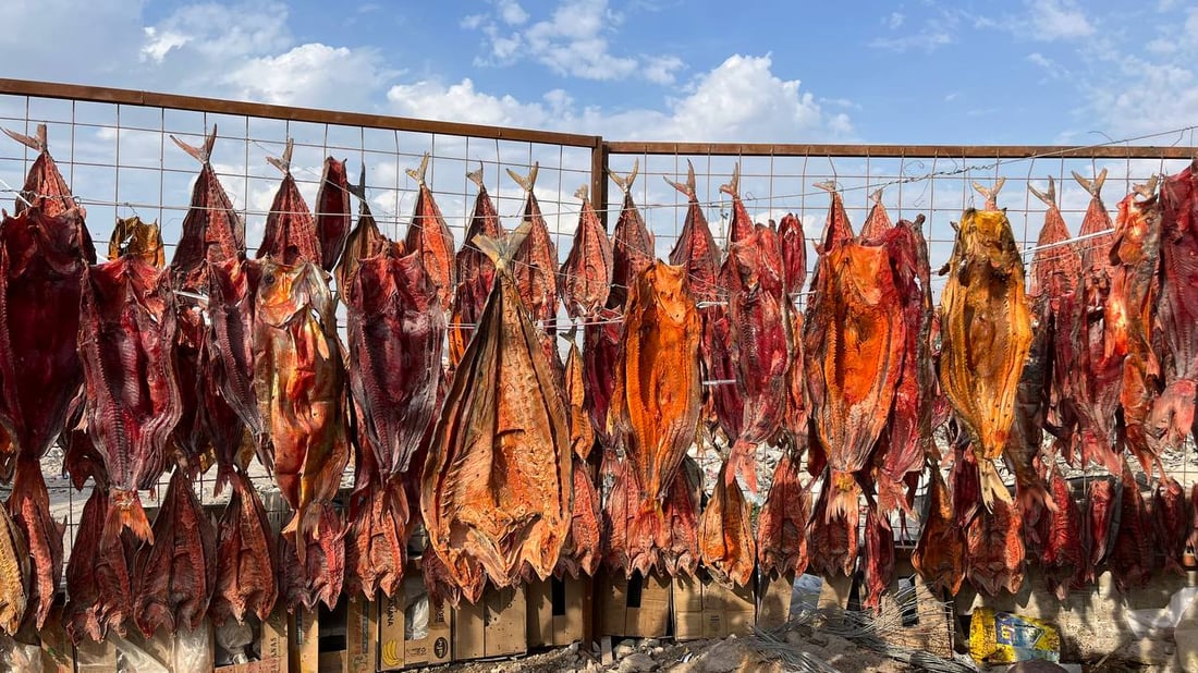 صور غير مألوفة من البصرة: لون المسموطة صار أحمر.. والبغادلة يصورون فقط!