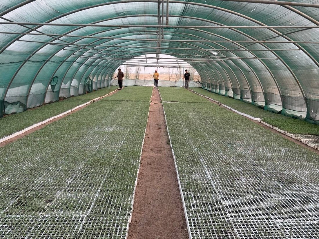 <?php echo get_the_title() ?>