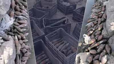 دابه‌زینى ئاوى ده‌ربه‌ندى رانیه‌ زیاتر له‌ 140 گولـله‌ هاوه‌نى ده‌رخستووه‌