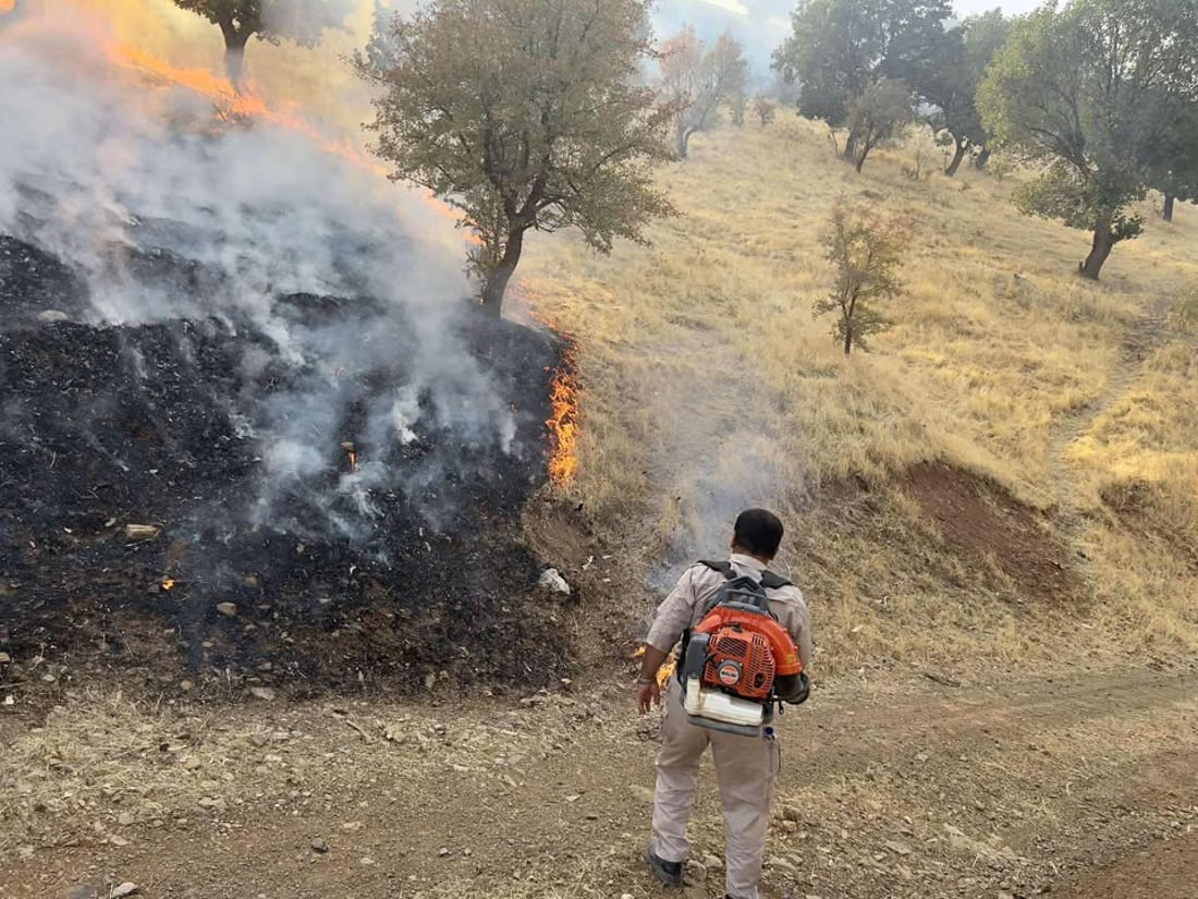 شۆرتی کارەبا زیاتر لە 1000 دۆنم پوش و پاوان و دارستانی لە شارباژێر سووتاند