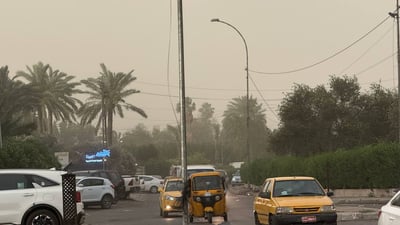 أعاصير صغيرة أسقطت الأشجار.. مشاهد من عاصفة بغداد الآن (فيديو)