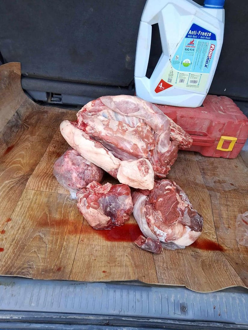 نزیکەی نۆ تۆن کاڵەک و 65 کیلۆ گۆشتی خراپبوو دەستیان بەسەرداگیرا