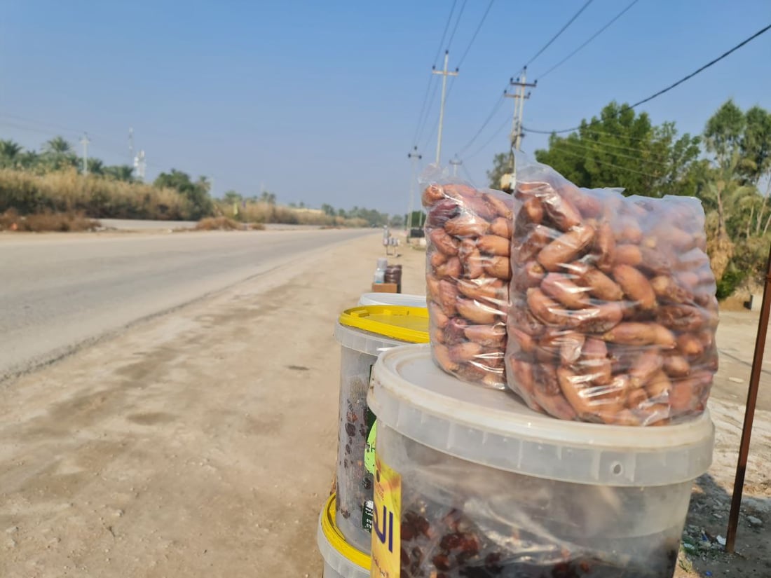 صور: حلانات التمر على طول الطريق بين السماوة والرميثة.. الشكّر أولاً