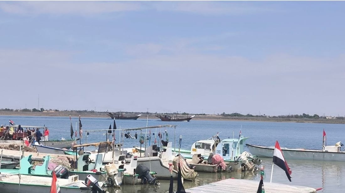 الصبور يشعل مزاد الفاو مبكراً.. الزوج 190 ألف دينار وإن لم يعجبك فالهامور والزبيدي