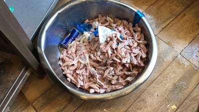 خواردنگەی “باڵە خۆشەکەی فاخیر هەریری” لە سلێمانی داخرا