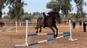“الحصان الأسود” قادم إلى الجادرية في أيار وتدريب الفرسان مستمر
