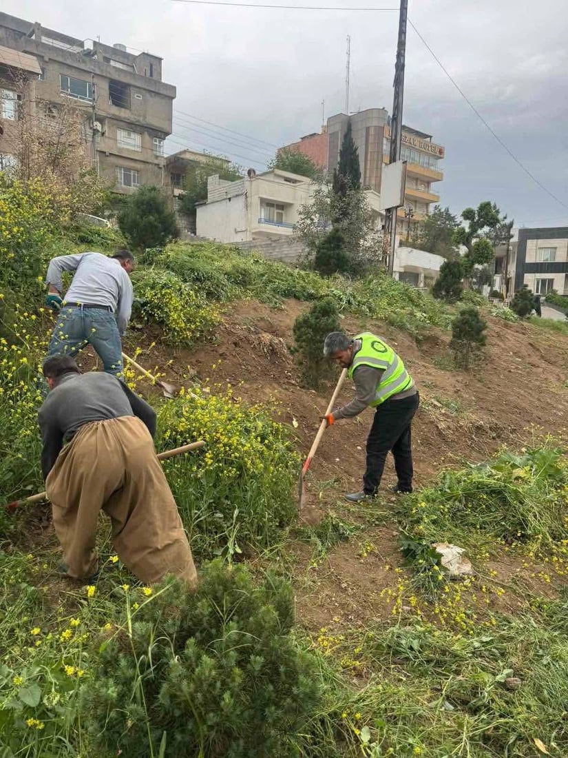بەهارە شارەوانی دەستیداوەتە رنینەوەی گژوگیای شەقامەکانی سلێمانی
