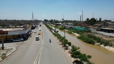 فيديو يسر العين من الحويجة.. زراعة 25 ألف شتلة ولا شيء ينافس الشجرة المصرية