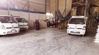 صور من المشخاب: البرسيم العراقي مفقود من السوق.. وأسعار ...