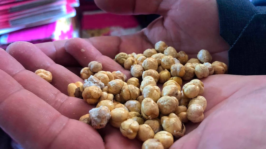 دەیویست نۆکی بەسەرچوو ساغبکاتەوە