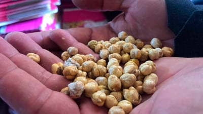 دەیویست نۆکی بەسەرچوو ساغبکاتەوە