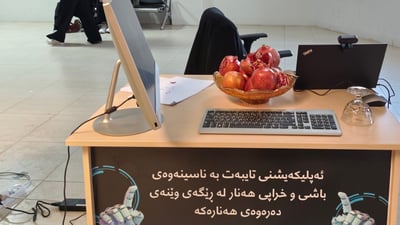 لە رێگەی زیرەکی دەستکردەوە هەناری باش و خراپ جیابکەرەوە