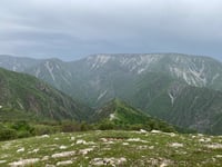 شوێنی ئاگرە گەورەکەی ساڵی پاری ناوچەی کۆکۆیی ژیاوەتەو�...