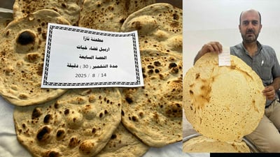 “به‌شه‌ ئاردی حه‌وته‌م تاقیكرایه‌وه‌ و باشترین نانى لێدێت”