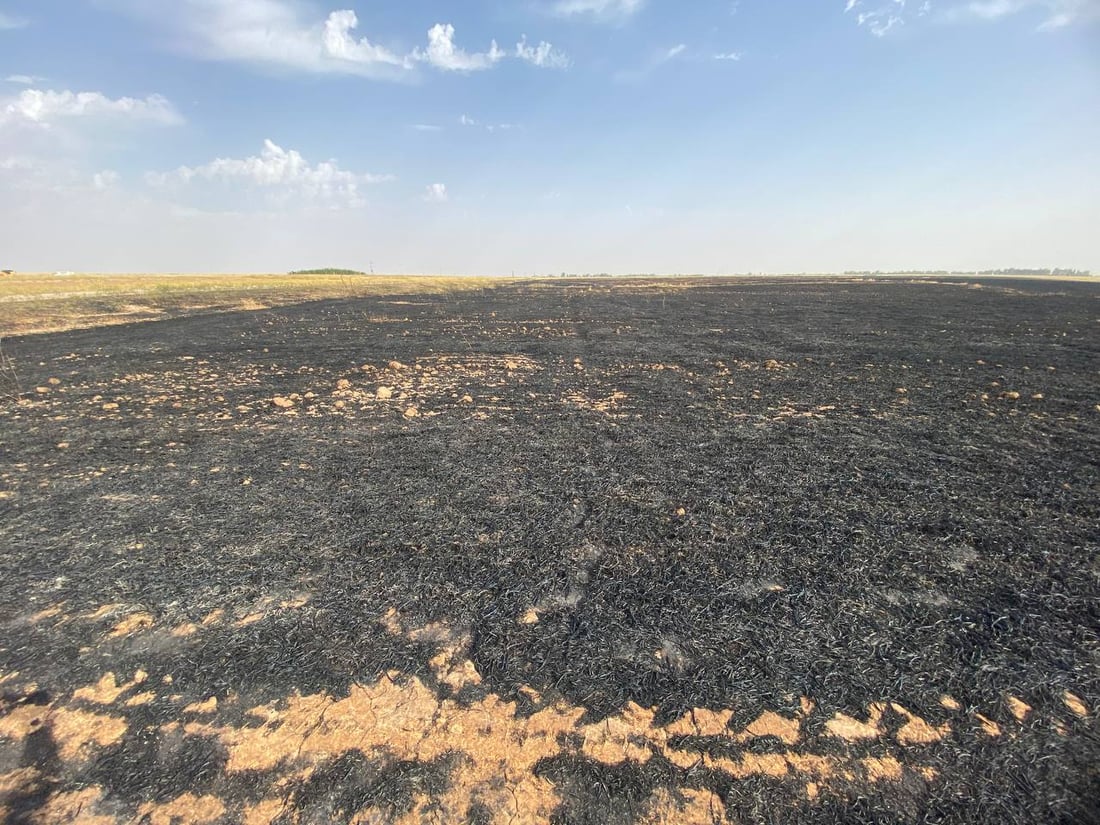فيديو: طوزخورماتو تسيطر على حريق المحاصيل.. “فزعة” من داقوق وحوضيات الجيش