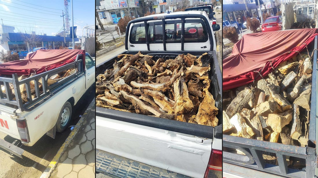 پێنج هاوڵاتی بە چوار ئۆتۆمبێلی پڕ دارەوە دەستگیر كران