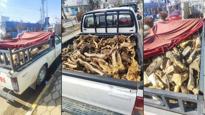 پێنج هاوڵاتی بە چوار ئۆتۆمبێلی پڕ دارەوە دەستگیر كران