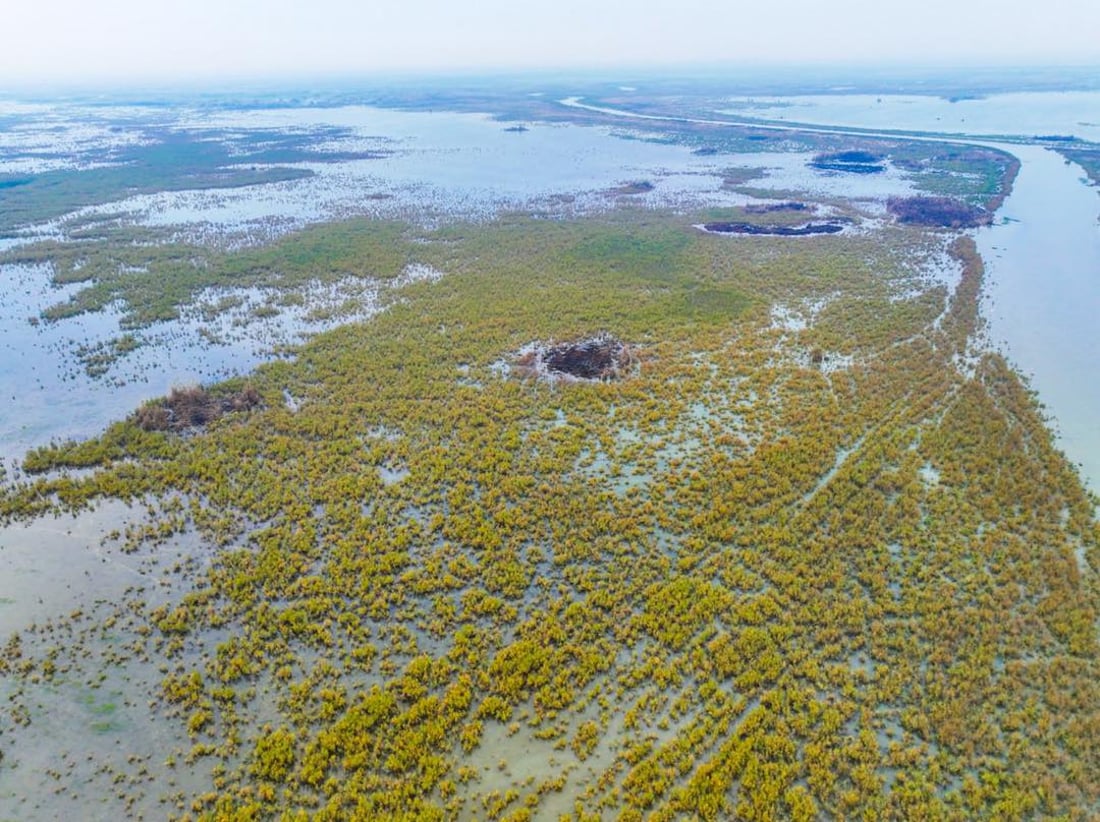 صور من الهور: الحويزة يتنفس من جديد بعد مياه الأمطار الأخيرة