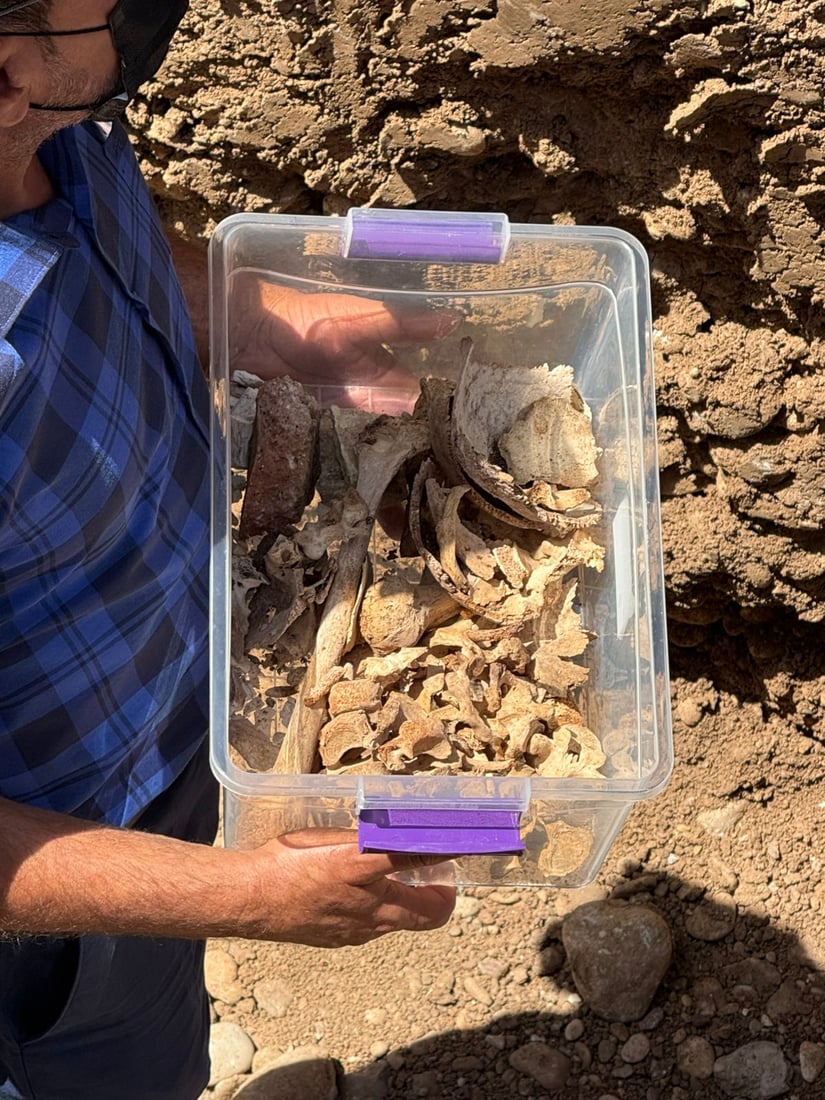 ئەو ئێسک و پروسکانەی لە پڕۆژەی دووسایدی رۆڤیا دۆزرانەوە، هی دوو گۆڕن 