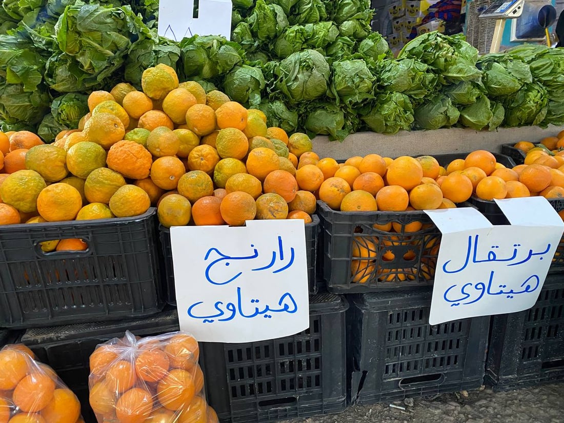 صور: البرتقال اليافاوي يملأ أسواق الأنبار.. ألذ من المستورد ومستمر حتى شباط