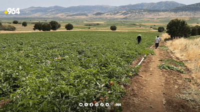 جوتیارانی پێنجوێن داوای راگرتنی هاتنی بەرهەمەکانی دەرەوە دەدەن