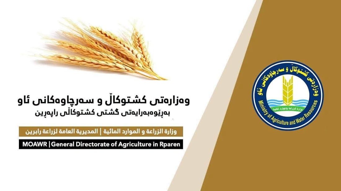کشتوکاڵی راپەڕین رەتیدەکاتەوە بەڕێوەبەرەکەیان دەستگیرکرابێت