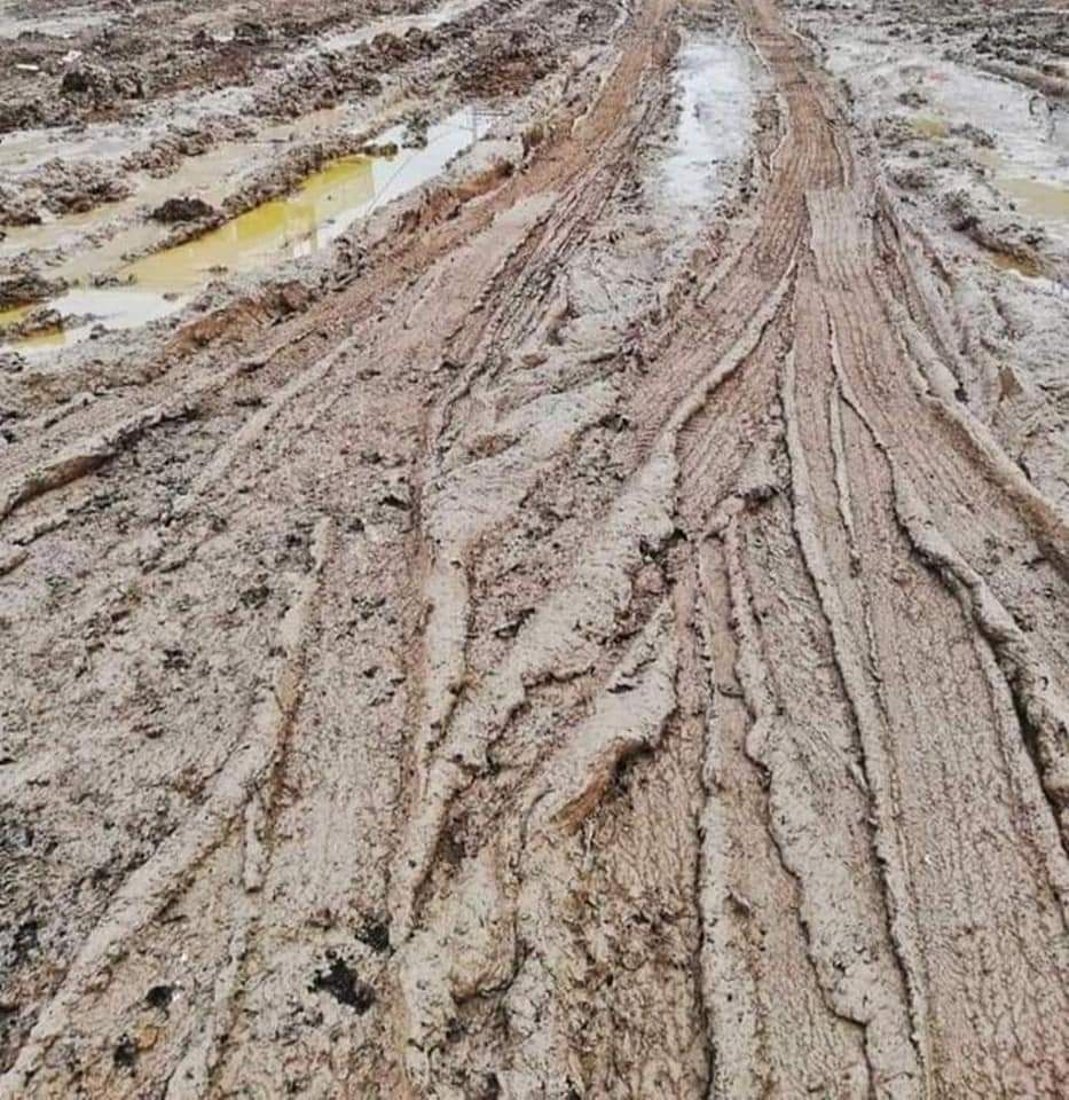 برك أغرقت الأحياء وأفراح في الحقول.. مشاهد من ميسان بعد يوم ممطر
