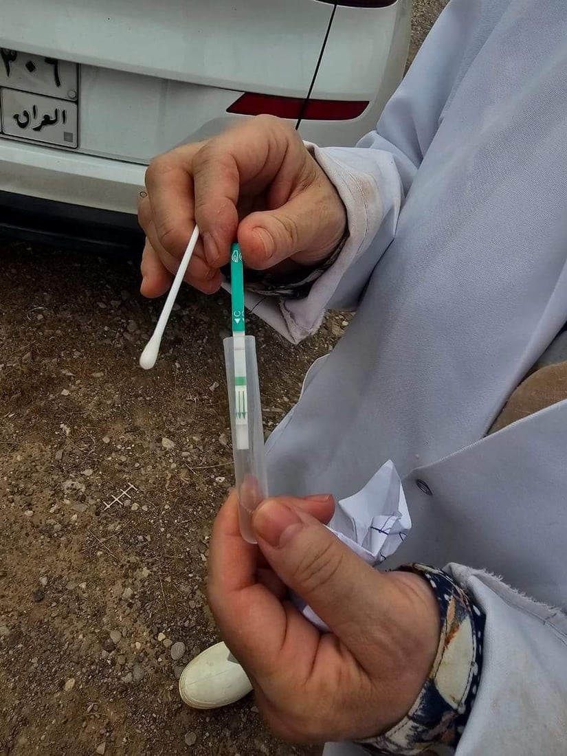 پەلەوەر و باڵندەکانی دوزخورماتوو دەکوترێن