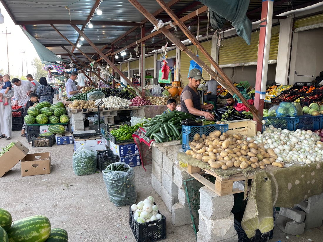 علوة كركوك: الباميا العراقية “مغرورة” بـ4 آلاف.. والمشمش يختفي بسرعة (صور)