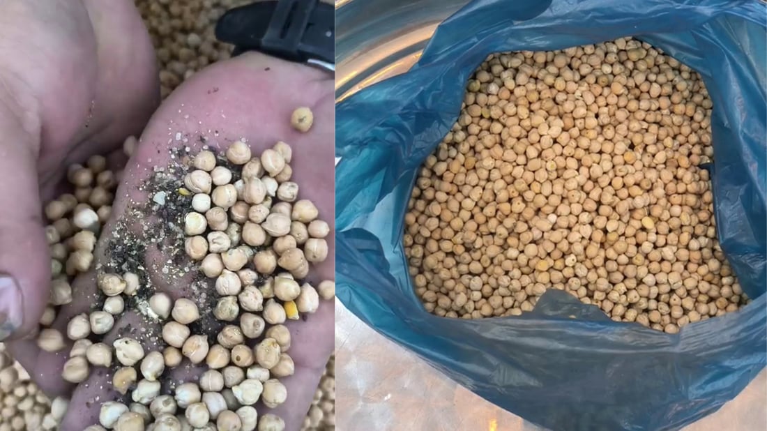 بەشەنۆكی بایەعیی كرم لێیداوە