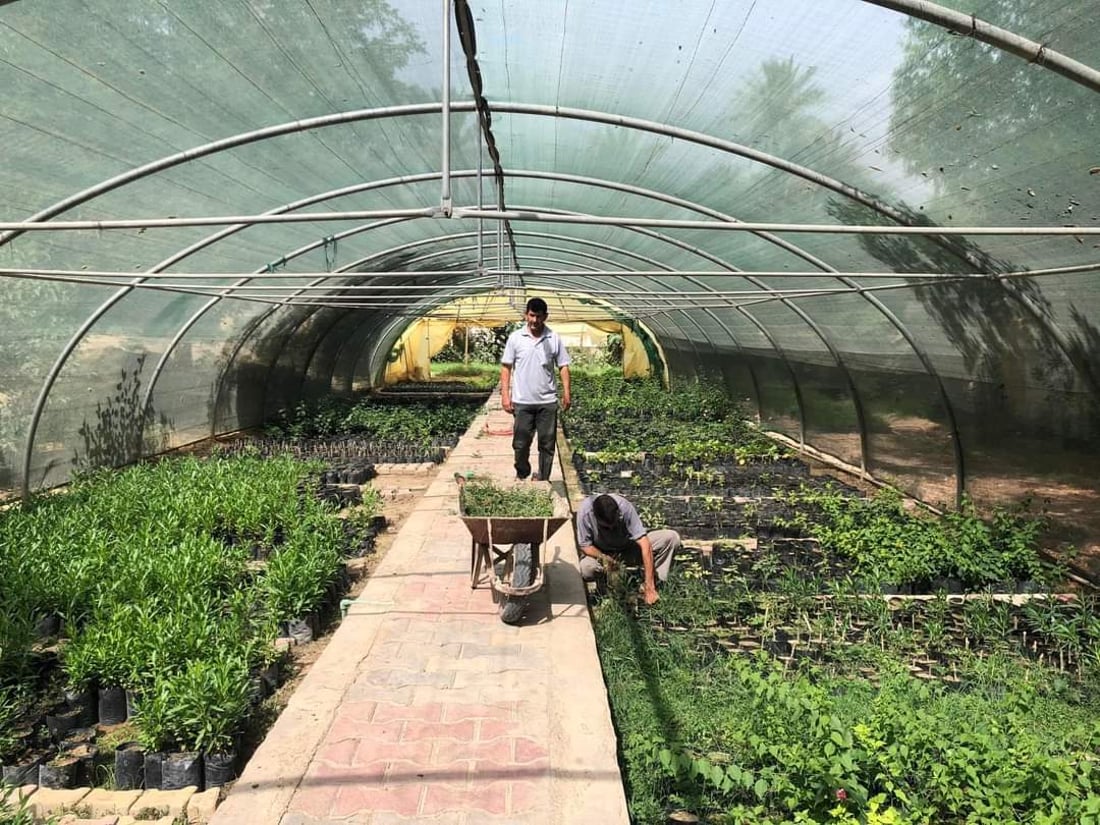 صور: الجيش يبدأ بتشجير السيطرات ونقاط التفتيش بشتلات من بلدية السعدية