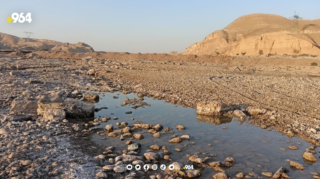 ئاوەسپی ماڵئاوایی لە خورماتوو كرد