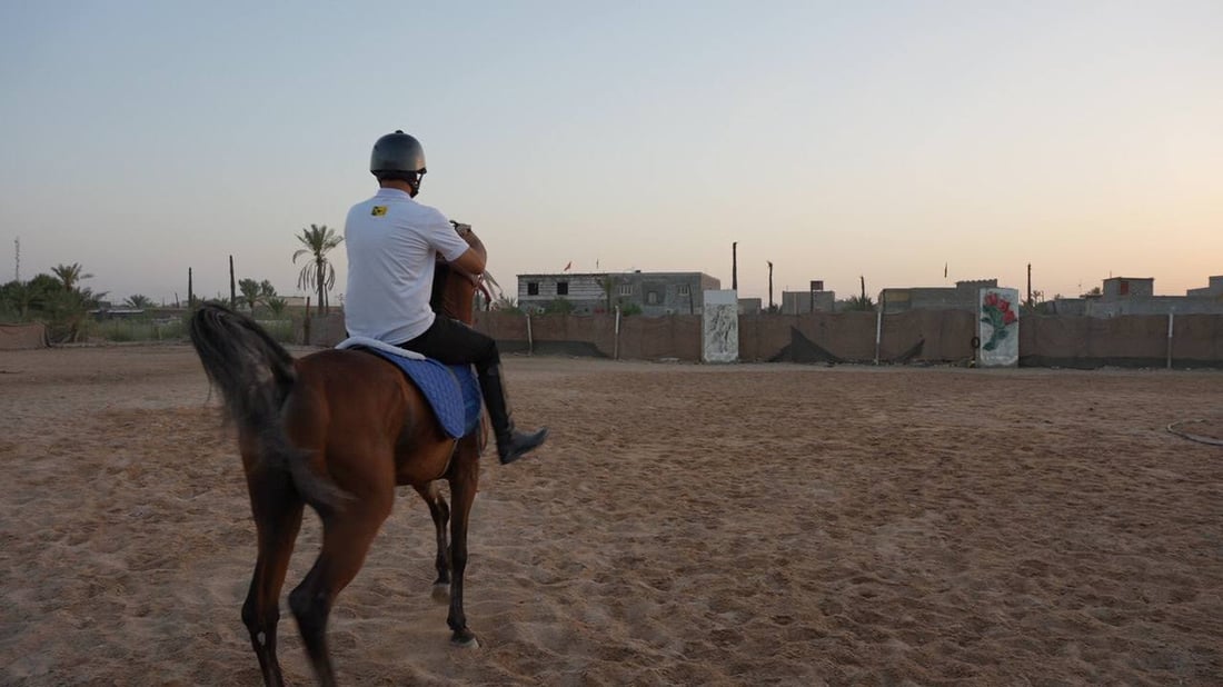 فحل خليجي أنيق يهجن خيول شمال البصرة.. علموا أولادكم عند “أسد”