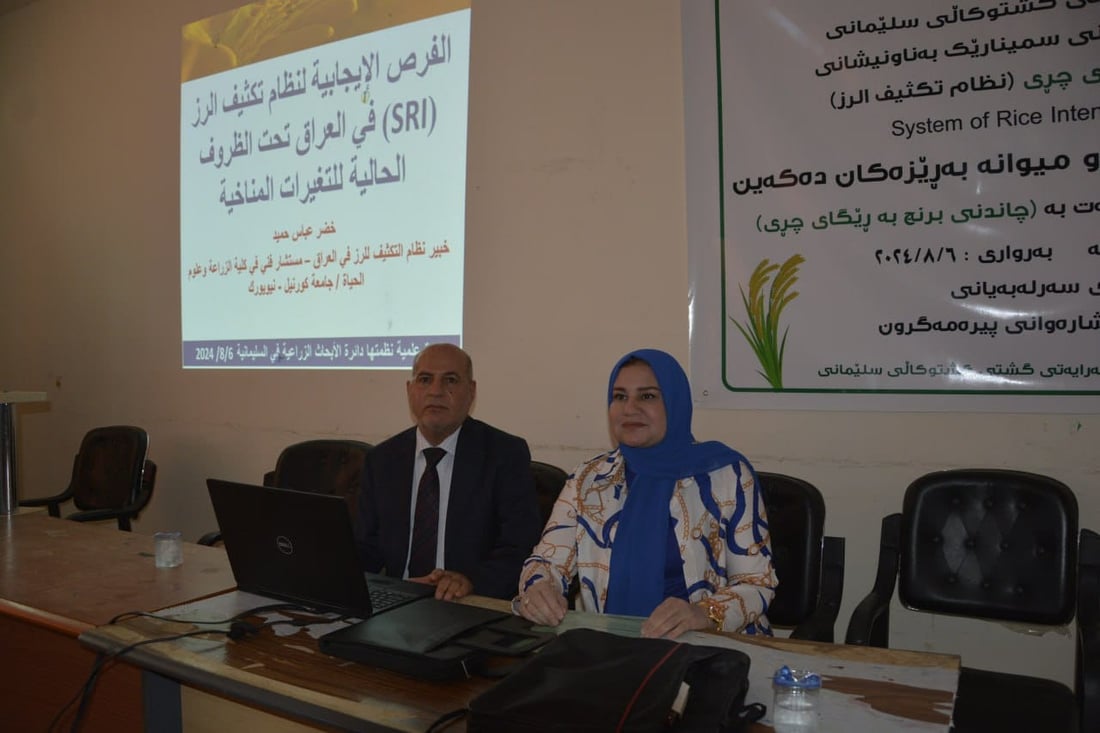 رێگەی چڕی فێری ئەو جوتیارانە کرا کە برنج دەچێنن