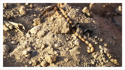 دوو گۆڕى به‌كۆمه‌ڵى نوێی ئێزدییەکان له‌ سنورى شنگال دۆزرانه‌وه‌