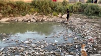 أيام صعبة في 
