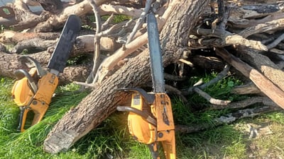 له‌ خورماڵ دوو هاوڵاتى له‌سه‌ر داربڕین ده‌ستگیركران