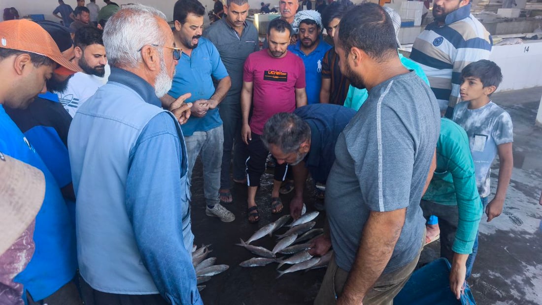“ولمة غنية في النقعة”.. خمسة أطنان زبيدي وصلت وهذه الأسعار