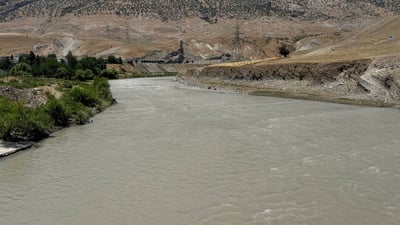 ماسی رووباری باڵەکیان کرم لێی داوە
