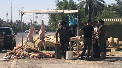 الحمى النزفية “وشيكة” في حي العامل.. مجزرة أضاحي كبرى على الخط السريع (صور)