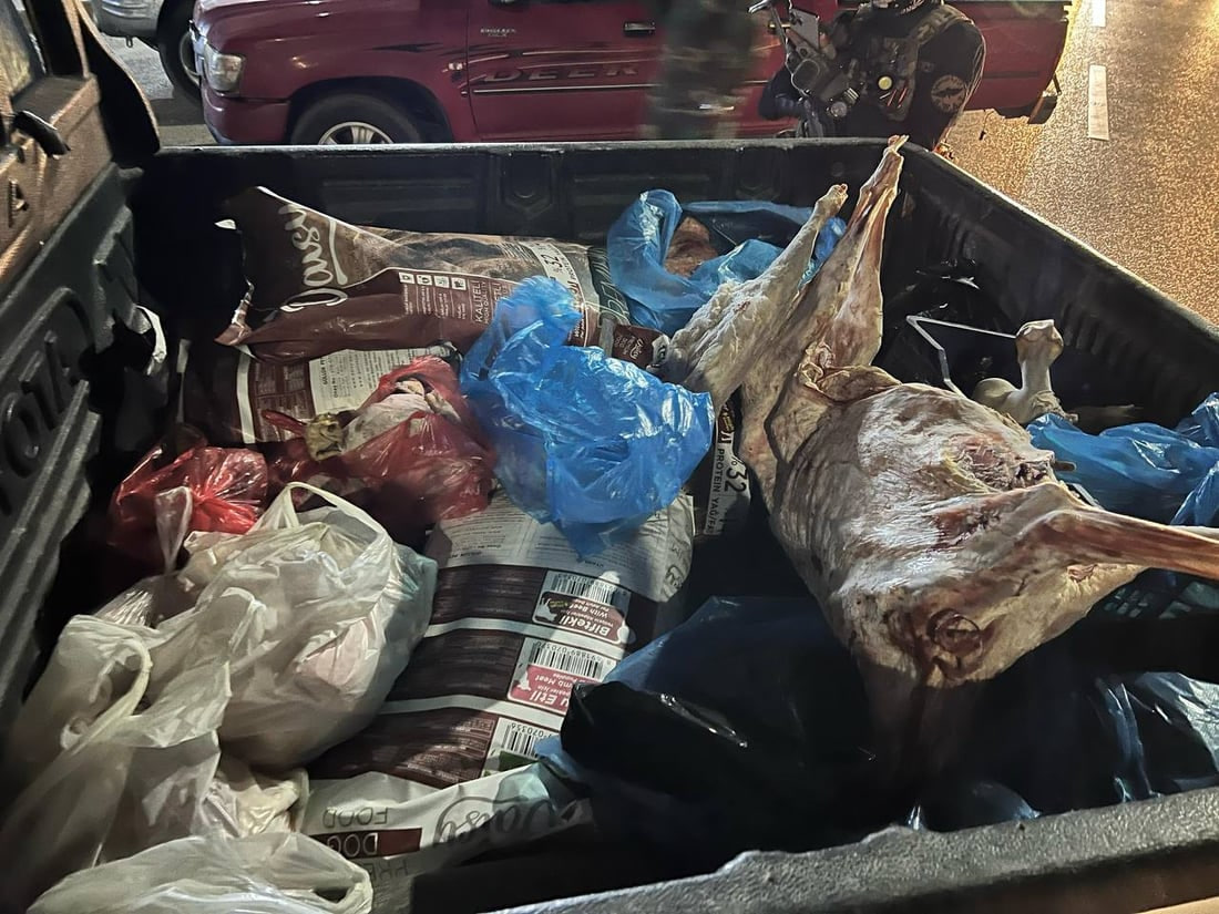 چوار گۆشتفرۆش داخران و دەست بەسەر 20 سەر مەڕدا گیرا